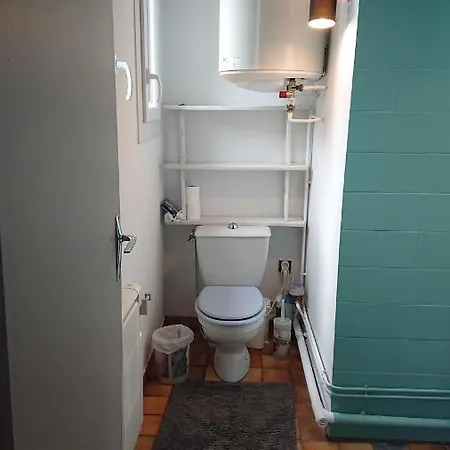 Apartment Dans Ancienne Maison Pyreneenne. Cadéac